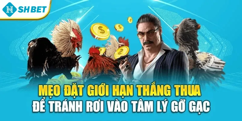 Mẹo đặt giới hạn thắng thua để tránh rơi vào tâm lý gỡ gạc